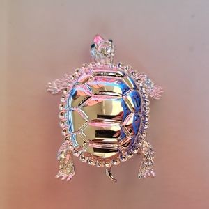 Turtle Brooch